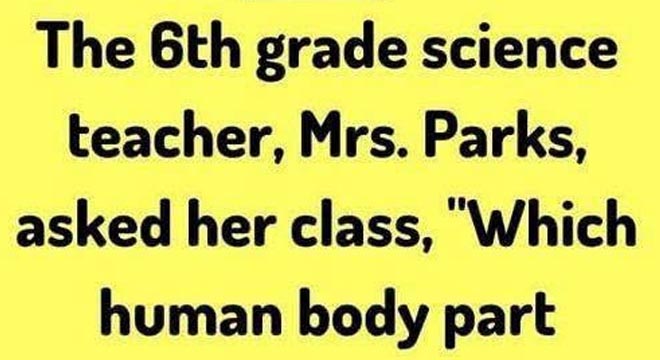 The Question That Almost Got a Teacher in Trouble